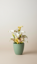 Mist Green Calla Arrangement
