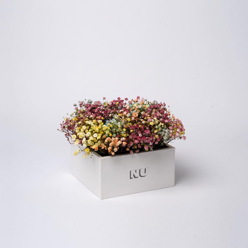 Nu Flowers Colors Box arrangement, side view
