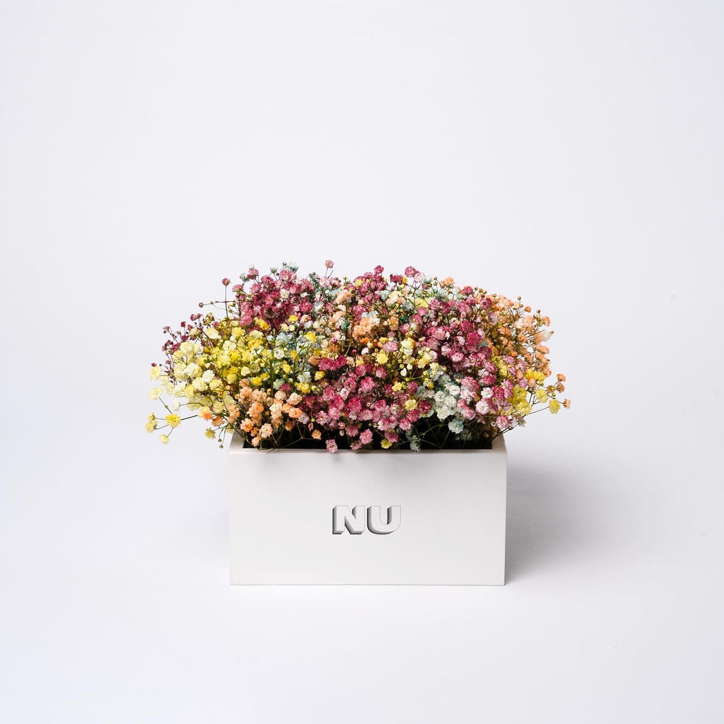 Nu Flowers Colors Box arrangement