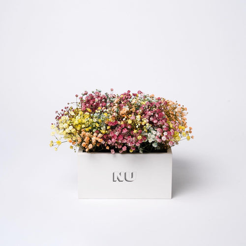 Nu Flowers Colors Box arrangement