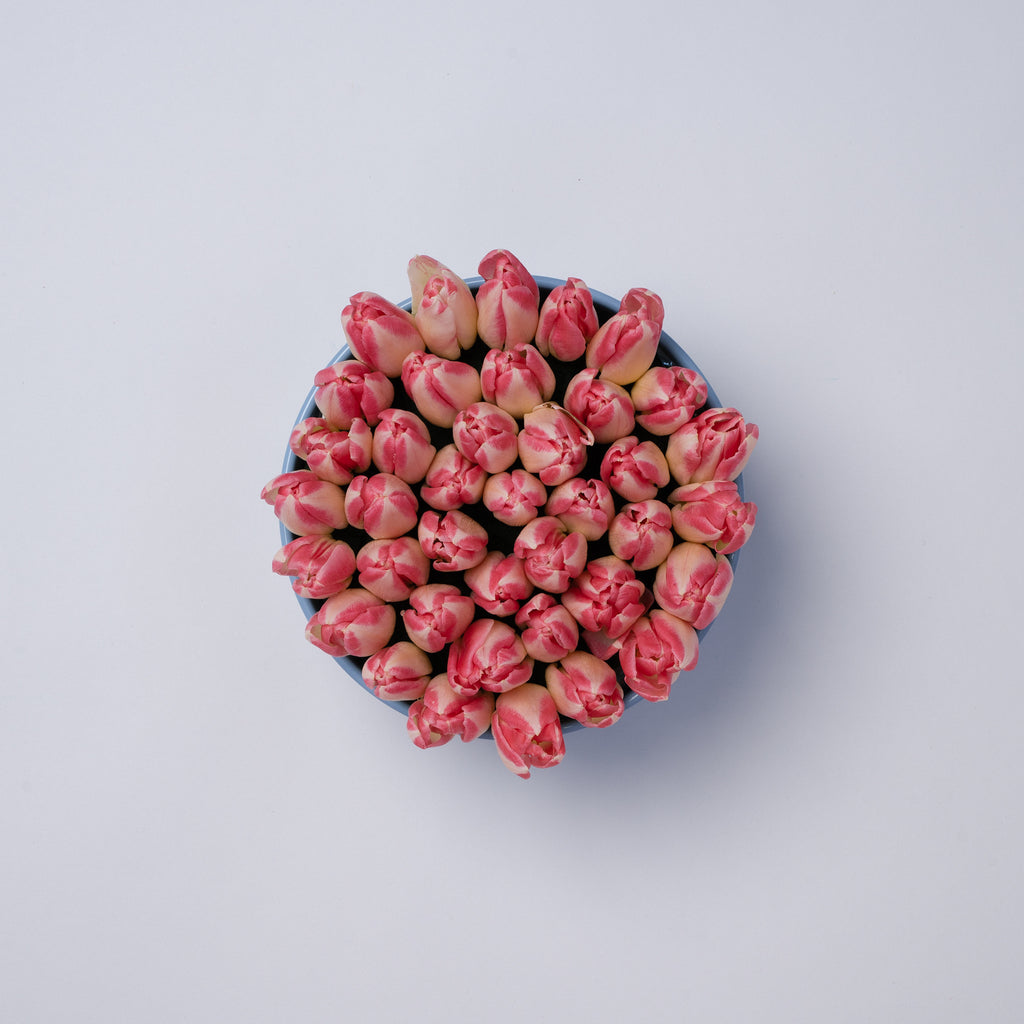 Nu Flowers Pink Tulip Vase arrangement, close up