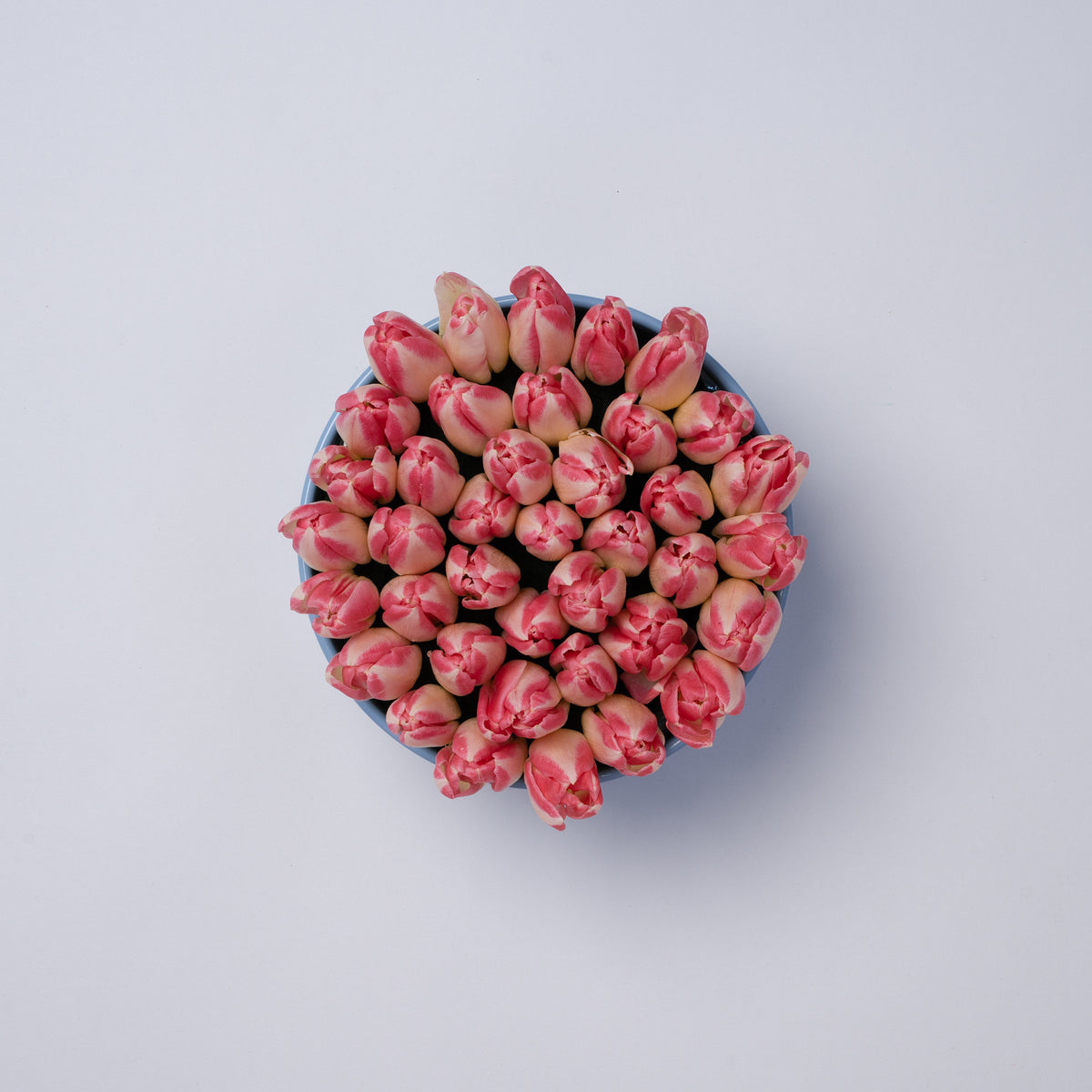 Nu Flowers Pink Tulip Vase arrangement, close up