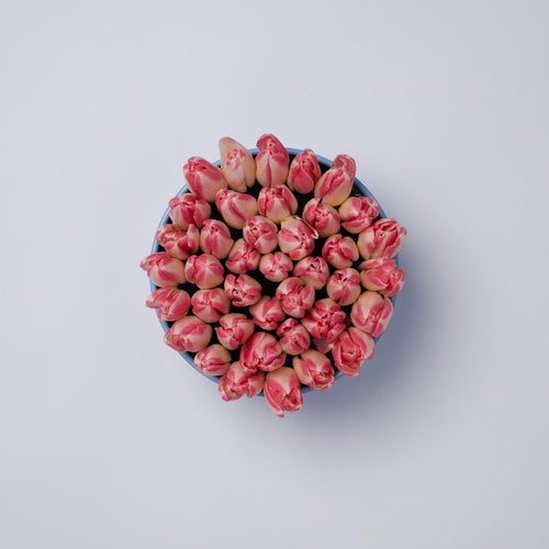 Nu Flowers Pink Tulip Vase arrangement, close up